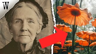 Deceased 1800's Woman DESCRIBES A TRIPPY AFTERLIFE