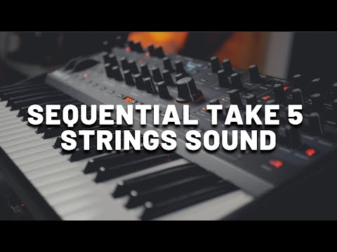 Strings Sound with Sequential Take 5 | Analog Synth Demo (No Talking)