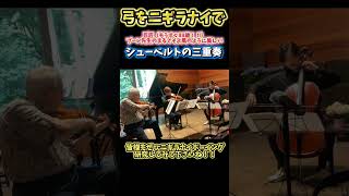 Download lagu 【世界1位の88歳】巨匠プーレ先生のボーイングの極意　#shorts  #巨匠 #シューベルト　#バイオリン　#ビオラ　#チェロ mp3