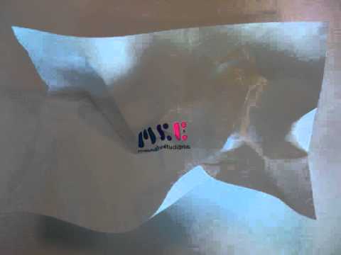 animation MCE de l'ESMA