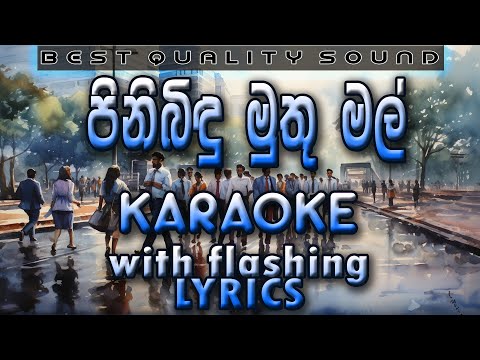 Pinibindu Muthu Mal Karaoke with Lyrics (Without Voice)