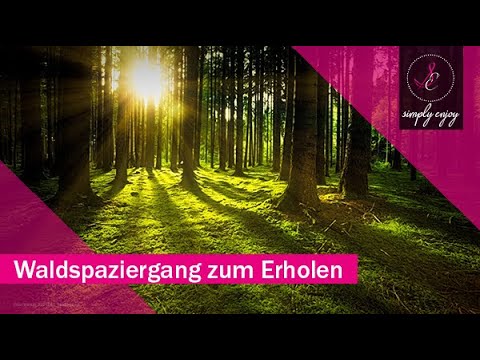 🌳Frühling im Wald mit Vogelzwitschern 🐤zum Entspannen mit Naturgeräuschen