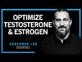 How To Optimize Testosterone Estrogen Huberman Lab Essentials