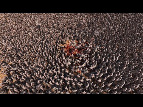 Chuck Norris VS 10000 Zombies - Who will win - UEBS 2