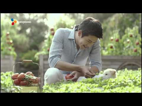 [HD] Hyun Bin - CJ Foods Freshian 60'CF (B)