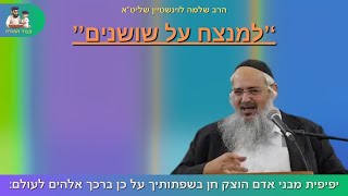 ''למנצח על שושנים'' הרב שלמה לוינשטיין שליט''א 👈🏻 שבועות (פרשת נשא) (הרב שלמה לוינשטיין) - התמונה מוצגת ישירות מתוך אתר האינטרנט יוטיוב. זכויות היוצרים בתמונה שייכות ליוצרה. קישור קרדיט למקור התוכן נמצא בתוך דף הסרטון ''למנצח על שושנים'' הרב שלמה לוינשטיין שליט''א 👈🏻 שבועות (פרשת נשא) (הרב שלמה לוינשטיין) - התמונה מוצגת ישירות מתוך אתר האינטרנט יוטיוב. זכויות היוצרים בתמונה שייכות ליוצרה. קישור קרדיט למקור התוכן נמצא בתוך דף הסרטון