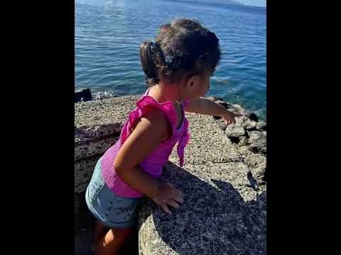 Zincou GaiaChega x EntaoValeu 2k25