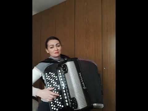 Danijela Predić - Velizarevo kolo