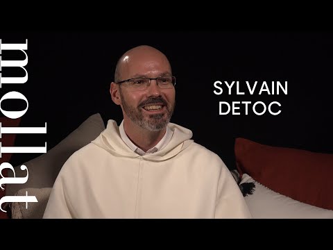 Sylvain Detoc - Déjà brillent les lumières de la fête