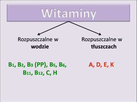 Olej na suchych końcówek włosów Jakie witaminy są bardziej skuteczne na wypadanie włosów