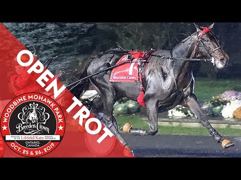 2019 Breeders Crown - Bold Eagle - Open Trot