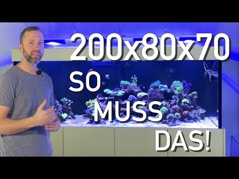 1000Liter Mischbecken - STABILE Entwicklung und TIPPS!