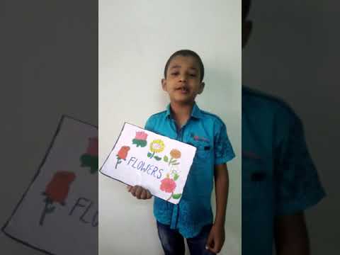 Devesh Flowers Song