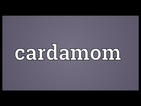 download lagu mp3 mp4 Cardamom Meaning In Urdu, download lagu Cardamom Meaning In Urdu gratis, unduh video klip Cardamom Meaning In Urdu