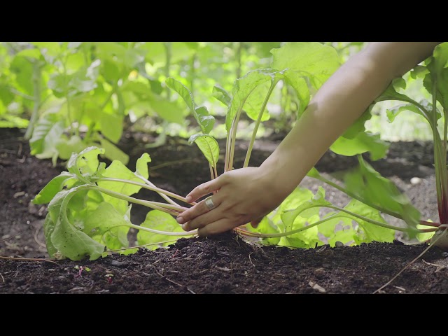 La recherche en éducation à l&rsquo;UQAM