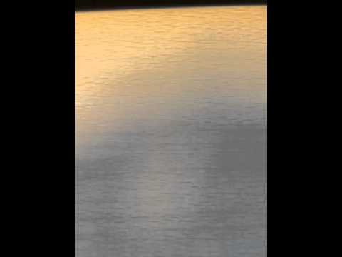 Feyenoord AV D3 - Slikkerveer D1 (27-09-2014)