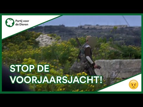 , title : 'Stop de voorjaarsjacht!'