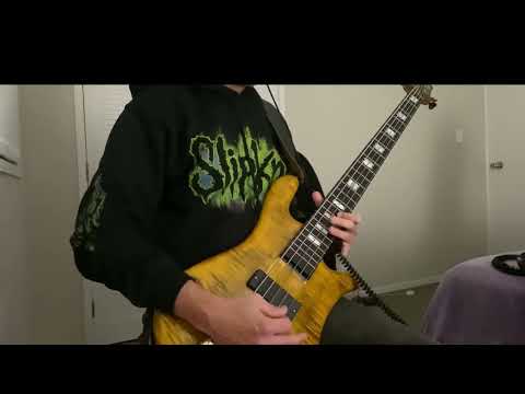 Crushing Metal Riff on My Spector LT #spectorbass  #metal  #heavymetal  #darkglass  #tech21