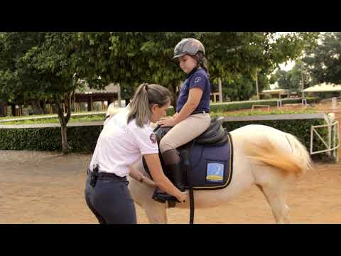 HOW TO RIDE A HORSE FOR THE FIRST TIME | LESSON 01 | - TIP FOR BEGINNERS