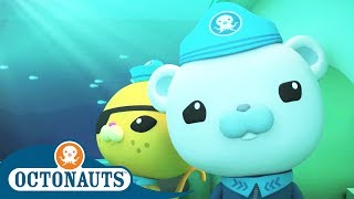 Octonauts - Whale Song | Cartoons for Kids | Underwater Sea Education