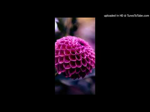 PnB Rock & A Boogie Wit Da Hoodie X Factor (WSHH Exclusive - Official Audio)