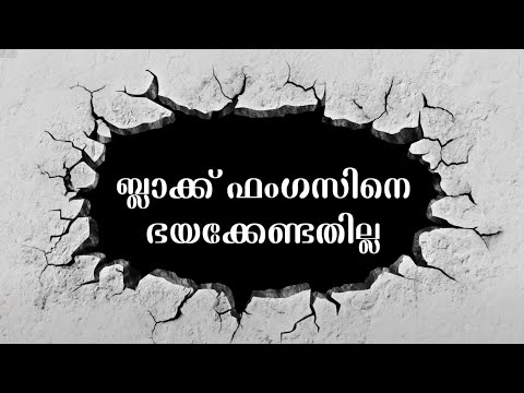 Don't be panic about Black Fungus or Mucormycosis
