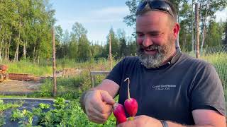 Alaska Fall Garden Tour - Off Grid Shower - Barn Plans - #offgrid #alaska #homestead #alaskayoutube
