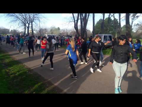 Ensayo bohemio 7/8/16  parte 2