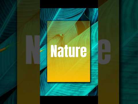 How to Fade Image into Background in Canva Step by Step