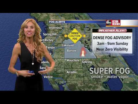 Florida's Most Accurate Forecast with Debra Schrils on Saturday, February 18, 2017