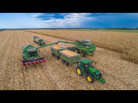 Kukorica aratás 2020 🌽 | John Deere S670i + W650i | John Deere 8230 + 6155R + Fliegl | Corn Harvest