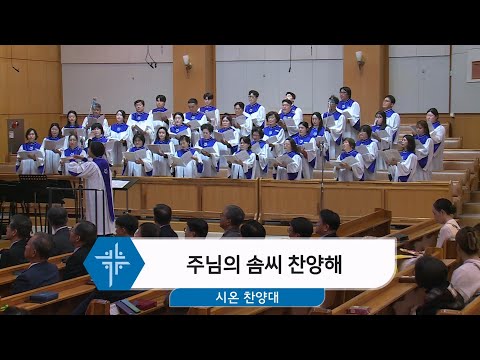 [25.11.09] 시온 찬양대 - 주님의 솜씨 찬양해 대표이미지