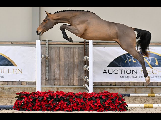 Alderweireld Dwerse Hagen