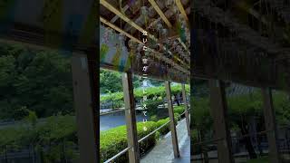 【ずっと鬱病って曲】365日病　 #オリジナル曲 #邦ロック#作詞作曲 #おすすめ