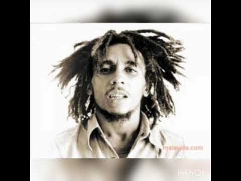 Bob Marley ft. Leon Bolier ft. LVNDSCAPE ft. The Wailers - Is This Love (Remix)