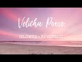Velicha Poove [Slowed + Reverbed] -  Shreya Ghoshal & Mohit Chauhan | Ethir Neechal | Anirudh