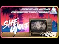 Bao Numi Sinder She Wolf Shakira Cover Conejo Malo Reggaeton Remix