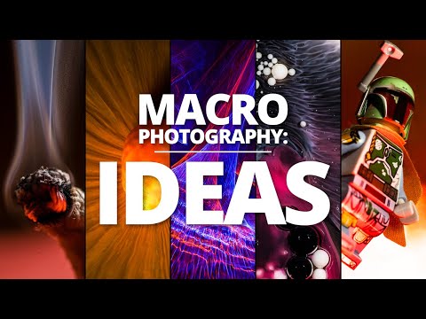 TOP 5 Macro Photography Ideas for 2022