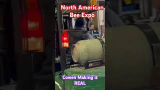 Download lagu Boy Toys #music #honeybee #beekeeping #honey #canadianbeekeeping #bee #beekeeper #beelife mp3