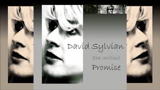 David Sylvian / Promise (the rarities) (Full Album)