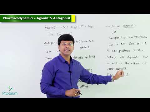 3. Pharmacodynamics: Agonist & Antagonist: Pharmacology Lectures