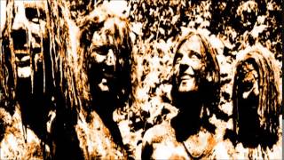 Mudhoney - Here Comes Sickness (Peel Session)