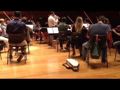 Giuseppe Tartini: Concerto in D Major.  I - Allegro Moderato. Erico Fonseca, piccolo Trumpet