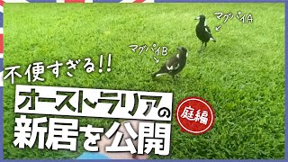 【日常】かわいいお友達ができました。自宅の快適化計画　-庭編-
