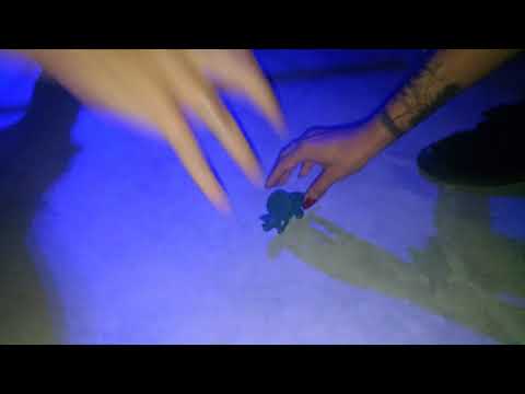 DinoFrito @ Hipnose - O Equilíbrio