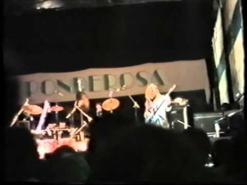 live @ LONGUE LIZARDS - Ponderosa fest. '87