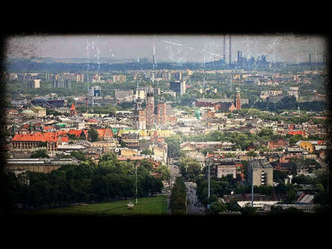 DymiTree - Moje miasto