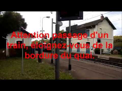 Gare RER D du Coudray Montceaux (Z20500 + Z5300)