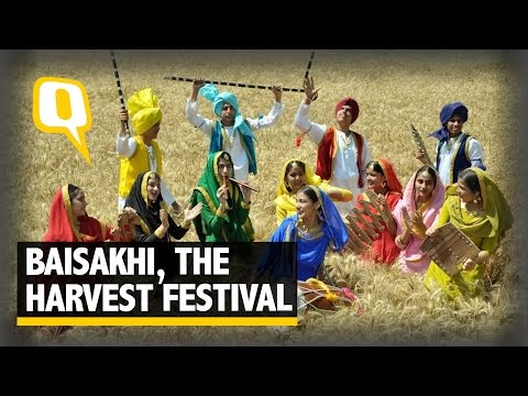 The Quint: The Story of Baisakhi, Bihu And India’s Harvest Festivals