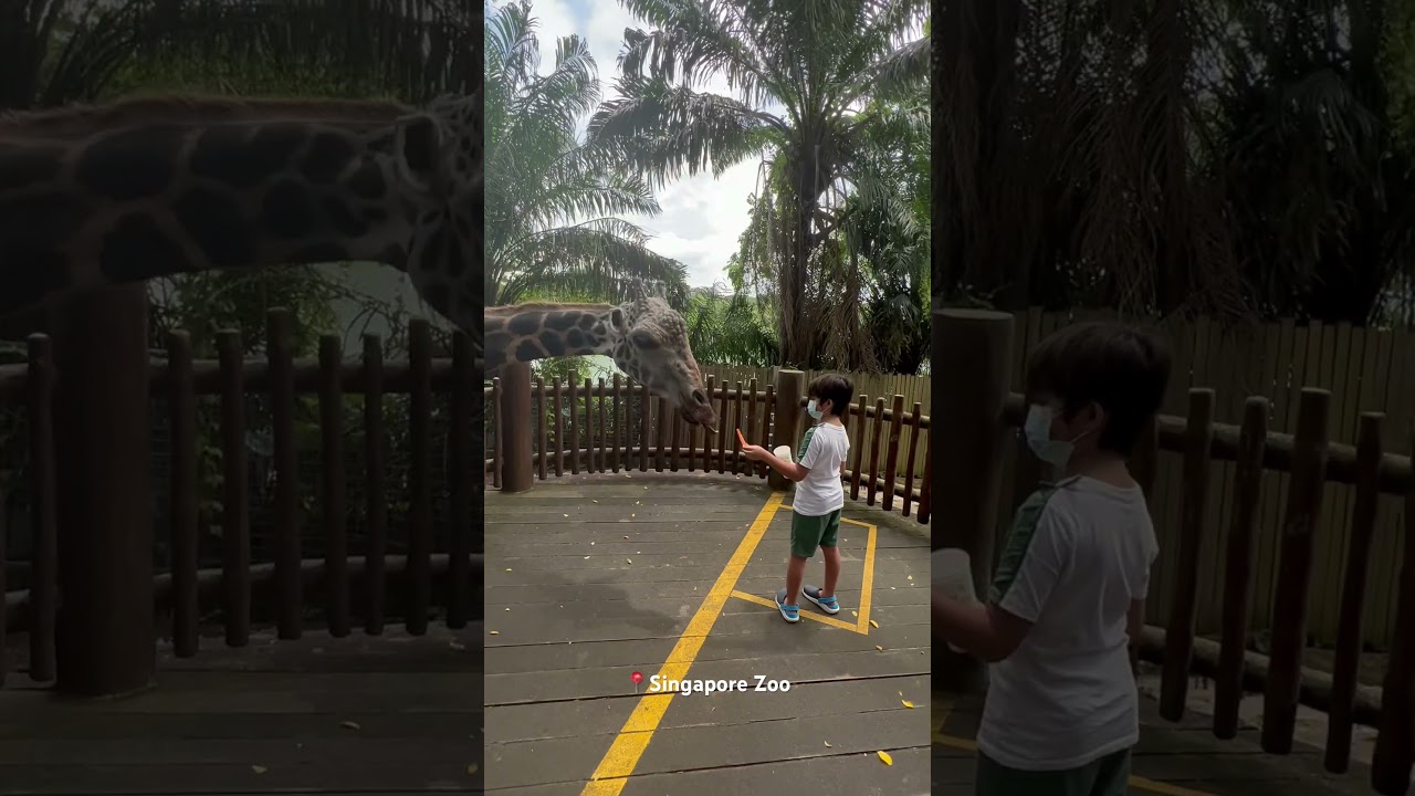 YouTube Short thumbnail